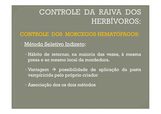 CONTROLE
CONTROLE DOS
DOS MORCEGOS
MORCEGOS HEMATÓFAGOS
HEMATÓFAGOS:
:

 Método
Método Seletivo
Seletivo Indireto
Indireto:
:
•
• Hábito
Hábito de
de retornar,
retornar, na
na maioria
maioria das
das vezes,
vezes, à
à mesma
mesma
presa
presa e
e ao
ao mesmo
mesmo local
local da
da mordedura
mordedura.
.
•
• Vantagem
Vantagem 
 possibilidade
possibilidade de
de aplicação
aplicação da
da pasta
pasta
vampiricida
vampiricida pelo
pelo próprio
próprio criador
criador
•
• Associação
Associação dos
dos os
os dois
dois métodos
métodos
 