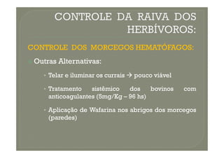CONTROLE
CONTROLE DOS
DOS MORCEGOS
MORCEGOS HEMATÓFAGOS
HEMATÓFAGOS:
:

 Outras
Outras Alternativas
Alternativas:
:
•
• Telar
Telar e
e iluminar
iluminar os
os currais
currais 
 pouco
pouco viável
viável
•
• Tratamento
Tratamento sistêmico
sistêmico dos
dos bovinos
bovinos com
com
anticoagulantes
anticoagulantes (
(5
5mg/Kg
mg/Kg –
– 96
96 hs)
hs)
•
• Aplicação
Aplicação de
de Wafarina
Wafarina nos
nos abrigos
abrigos dos
dos morcegos
morcegos
(paredes)
(paredes)
 