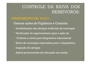 ATENDIMENTO
ATENDIMENTO EM
EM FOCO
FOCO:
:

 Demais
Demais ações
ações de
de Vigilância
Vigilância e
e Controle
Controle:
:
•
• Inviabilização
Inviabilização dos
dos abrigos
abrigos artificiais
artificiais de
de morcegos
morcegos
Verificação
Verificação do
do repovoamento
repovoamento após
após a
a ação
ação de
de
•
• Verificação
Verificação do
do repovoamento
repovoamento após
após a
a ação
ação de
de
•
• Colheita
Colheita e
e envio
envio para
para diagnóstico
diagnóstico laboratorial
laboratorial
•
• Envio
Envio de
de morcegos
morcegos capturados
capturados para
para o
o diagnóstico
diagnóstico
•
• Inspeção
Inspeção de
de abrigos
abrigos
•
• Ações
Ações permanentes
permanentes de
de educação
educação em
em saúde,
saúde,
 