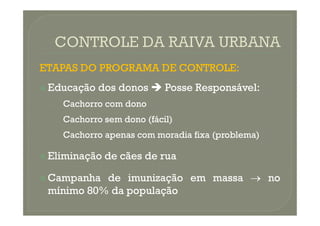ETAPAS
ETAPAS DO
DO PROGRAMA
PROGRAMA DE
DE CONTROLE
CONTROLE:
:

 Educação
Educação dos
dos donos
donos 
 Posse
Posse Responsável
Responsável:
:
•
• Cachorro
Cachorro com
com dono
dono
•
• Cachorro
Cachorro sem
sem dono
dono (fácil)
(fácil)
•
• Cachorro
Cachorro apenas
apenas com
com moradia
moradia fixa
fixa (problema)
(problema)

 Eliminação
Eliminação de
de cães
cães de
de rua
rua

 Campanha
Campanha de
de imunização
imunização em
em massa
massa 
 no
no
mínimo
mínimo 80
80%
% da
da população
população
 