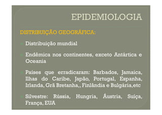 DISTRIBUIÇÃO GEOGRÁFICA:

 Distribuição
Distribuição mundial
mundial

 Endêmica
Endêmica nos
nos continentes,
continentes, exceto
exceto Antártica
Antártica e
e
Endêmica
Endêmica nos
nos continentes,
continentes, exceto
exceto Antártica
Antártica e
e
Oceania
Oceania

 Países
Países que
que erradicaram
erradicaram:
: Barbados,
Barbados, Jamaica,
Jamaica,
Ilhas
Ilhas do
do Caribe,
Caribe, Japão,
Japão, Portugal,
Portugal, Espanha,
Espanha,
Irlanda,
Irlanda, Grã
Grã Bretanha,,
Bretanha,, Finlândia
Finlândia e
e Bulgária,etc
Bulgária,etc

 Silvestre
Silvestre:
: Rússia,
Rússia, Hungria,
Hungria, Áustria,
Áustria, Suíça,
Suíça,
França,
França, EUA
EUA
 