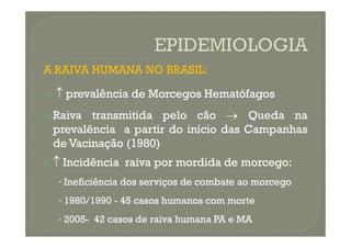 A RAIVA HUMANA NO BRASIL:

 
 prevalência
prevalência de
de Morcegos
Morcegos Hematófagos
Hematófagos

 Raiva
Raiva transmitida
transmitida pelo
pelo cão
cão 
 Queda
Queda na
na
prevalência
prevalência a
a partir
partir do
do início
início das
das Campanhas
Campanhas
prevalência
prevalência a
a partir
partir do
do início
início das
das Campanhas
Campanhas
de
de Vacinação
Vacinação (
(1980
1980)
)

 
 Incidência
Incidência raiva
raiva por
por mordida
mordida de
de morcego
morcego:
:
•
• Ineficiência
Ineficiência dos
dos serviços
serviços de
de combate
combate ao
ao morcego
morcego
•
• 1980
1980/
/1990
1990 -
- 45
45 casos
casos humanos
humanos com
com morte
morte
•
• 2005
2005-
- 42
42 casos
casos de
de raiva
raiva humana
humana PA
PA e
e MA
MA
 
