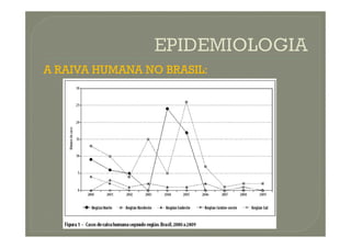 A RAIVA HUMANA NO BRASIL:
 