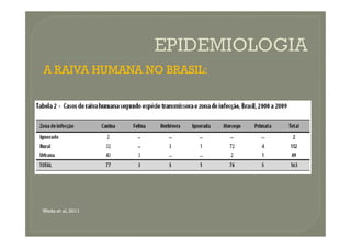 A RAIVA HUMANA NO BRASIL:
Wada et al, 2011
 