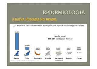 A RAIVA HUMANA NO BRASIL:
 