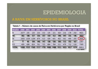 A RAIVA EM HERBÍVOROS NO BRASIL
 