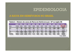 A RAIVA EM HERBÍVOROS NO BRASIL
 