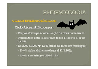 CICLOS EPIDEMIOLÓGICOS:
 Ciclo Aérea  Morcegos:
• Responsáveis pela manutenção da raiva na natureza
• Responsáveis pela manutenção da raiva na natureza
• Transmitem entre eles e para todos os outros elos da
cadeia
• De 2002 a 2009  1.163 casos de raiva em morcegos:
 80,0% deles não hematófagos (933/1.163);
 20,0% hematófagos (230/1.163)
 
