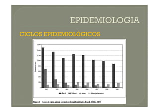 CICLOS EPIDEMIOLÓGICOS
 