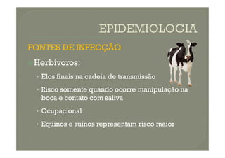 FONTES DE INFECÇÃO
FONTES DE INFECÇÃO

Herbívoros:
Herbívoros:
•
• Elos finais na cadeia de transmissão
Elos finais na cadeia de transmissão
•
• Elos finais na cadeia de transmissão
Elos finais na cadeia de transmissão
•
• Risco somente quando ocorre manipulação na
Risco somente quando ocorre manipulação na
boca e contato com saliva
boca e contato com saliva
•
• Ocupacional
Ocupacional
•
• Eqüinos e suínos representam risco maior
Eqüinos e suínos representam risco maior
 