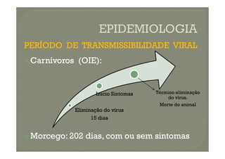 PERÍODO DE TRANSMISSIBILIDADE VIRAL
PERÍODO DE TRANSMISSIBILIDADE VIRAL

Carnívoros (OIE):
Carnívoros (OIE):

Morcego: 202 dias, com ou sem sintomas
Morcego: 202 dias, com ou sem sintomas
Eliminação do vírus
15 dias
Inicio Sintomas Término eliminação
do vírus.
Morte do animal
 