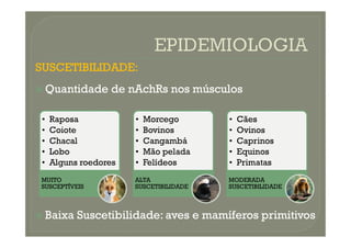 SUSCETIBILIDADE:
SUSCETIBILIDADE:

 Quantidade
Quantidade de
de nAchRs
nAchRs nos
nos músculos
músculos
• Raposa • Morcego • Cães

 Baixa
Baixa Suscetibilidade
Suscetibilidade:
: aves
aves e
e mamíferos
mamíferos primitivos
primitivos
• Coiote
• Chacal
• Lobo
• Alguns roedores
MUITO
SUSCEPTÍVEIS
• Bovinos
• Cangambá
• Mão pelada
• Felídeos
ALTA
SUSCETIBILIDADE
• Ovinos
• Caprinos
• Equinos
• Primatas
MODERADA
SUSCETIBILIDADE
 
