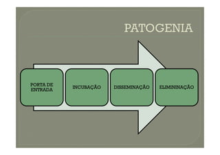 PORTA DE
ENTRADA
INCUBAÇÃO DISSEMINAÇÃO ELIMININAÇÃO
 