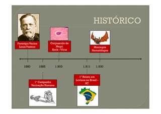Prototipo Vacina
Louis Pasteur
Corpusculo de
Negri
Koch - Vírus
Morcegos
Hematófagos
1880 1885 1.903 1.911 1.930
1ª Campanha
Vacinação Humana
1º Relato em
bovinos no Brasil -
SC
 