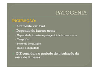 INCUBAÇÃO:
INCUBAÇÃO:

 Altamente
Altamente variável
variável

 Depende
Depende de
de fatores
fatores como
como:
:
•
• Capacidade
Capacidade invasiva
invasiva e
e patogenicidade
patogenicidade da
da amostra
amostra
•
• Capacidade
Capacidade invasiva
invasiva e
e patogenicidade
patogenicidade da
da amostra
amostra
•
• Carga
Carga Viral
Viral
•
• Ponto
Ponto de
de Inoculação
Inoculação
•
• Idade
Idade e
e Imunidade
Imunidade

 OIE considera o período de incubação da
OIE considera o período de incubação da
raiva de 6 meses
raiva de 6 meses
 