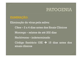 ELIMINAÇÃO:
ELIMINAÇÃO:
Eliminação
Eliminação do
do vírus
vírus pela
pela saliva
saliva:
:
•
• Cães
Cães –
– 2
2 a
a 4
4 dias
dias antes
antes dos
dos Sinais
Sinais Clínicos
Clínicos
•
• Morcego
Morcego –
– relatos
relatos de
de até
até 202
202 dias
dias
•
• Herbívoros
Herbívoros –
– indeterminado
indeterminado
•
• Código
Código Sanitário
Sanitário OIE
OIE 
 15
15 dias
dias antes
antes dos
dos
sinais
sinais clínicos
clínicos
 