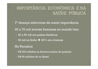 
 7ª doença infecciosa de maior importância
7ª doença infecciosa de maior importância

 40 a 70 mil mortes humanas no mundo/ano
40 a 70 mil mortes humanas no mundo/ano
•
• 40 a 50 mil em países Asiáticos
40 a 50 mil em países Asiáticos
•
• 40 a 50 mil em países Asiáticos
40 a 50 mil em países Asiáticos
•
• 30 mil na Índia
30 mil na Índia 
 40% em crianças
40% em crianças

 Na Pecuária
Na Pecuária
•
• U$ 300 milhões na America Latina de prejuízo
U$ 300 milhões na America Latina de prejuízo
•
• U$ 80 milhões dó no Brasil
U$ 80 milhões dó no Brasil
 