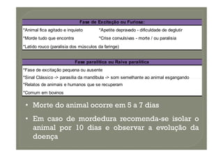*Animal fica agitado e inquieto *Apetite depravado - dificuldade de deglutir
*Morde tudo que encontra *Crise convulsivas - morte / ou paralisia
*Latido rouco (paralisia dos músculos da faringe)
Fase de Excitação ou Furiosa:
*Fase de excitação pequena ou ausente
*Sinal Clássico -> parasilia da mandíbula -> som semelhante ao animal esgangando
Fase paralítica ou Raiva paralítica
*Sinal Clássico -> parasilia da mandíbula -> som semelhante ao animal esgangando
*Relatos de animais e humanos que se recuperam
*Comum em bovinos
•
• Morte
Morte do
do animal
animal ocorre
ocorre em
em 5
5 a
a 7
7 dias
dias
•
• Em
Em caso
caso de
de mordedura
mordedura recomenda
recomenda-
-se
se isolar
isolar o
o
animal
animal por
por 10
10 dias
dias e
e observar
observar a
a evolução
evolução da
da
doença
doença
 