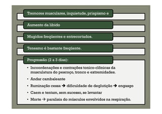 Tremores musculares, inquietude,priapismo e
Tremores musculares, inquietude,priapismo e
A
Aumento da libido
umento da libido
Mugidos freqüentes e entrecortados.
Mugidos freqüentes e entrecortados.
Tenesmo é bastante freqüente.
Tenesmo é bastante freqüente.
•
• Incoordenações e contrações tonico
Incoordenações e contrações tonico-
-clônicas da
clônicas da
musculatura do pescoço, tronco e extremidades.
musculatura do pescoço, tronco e extremidades.
•
• Andar cambaleante
Andar cambaleante
•
• Ruminação cessa
Ruminação cessa 
 dificuldade de deglutição
dificuldade de deglutição 
 engasgo
engasgo
•
• Caem e tentam, sem sucesso, se levantar
Caem e tentam, sem sucesso, se levantar
•
• Morte
Morte 
 paralisia do músculos envolvidos na respiração.
paralisia do músculos envolvidos na respiração.
Progressão (2 a 3 dias):
Progressão (2 a 3 dias):
 