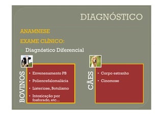 ANAMNESE
ANAMNESE
EXAME
EXAME CLÍNICO
CLÍNICO:
:

 Diagnóstico
Diagnóstico Diferencial
Diferencial
BOVINOS
• Envenenamento PB
• Poliencefalomalácia
• Listeriose,Botulismo
• Intoxicação por
fosforado,etc...
CÃES
• Corpo estranho
• Cinomose
 