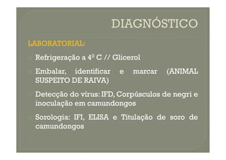 LABORATORIAL
LABORATORIAL:
:

 Refrigeração
Refrigeração a
a 4
40
0 C
C //
// Glicerol
Glicerol

 Embalar,
Embalar, identificar
identificar e
e marcar
marcar (ANIMAL
(ANIMAL
SUSPEITO
SUSPEITO DE
DE RAIVA)
RAIVA)
SUSPEITO
SUSPEITO DE
DE RAIVA)
RAIVA)

 Detecção
Detecção do
do vírus
vírus:
: IFD,
IFD, Corpúsculos
Corpúsculos de
de negri
negri e
e
inoculação
inoculação em
em camundongos
camundongos

 Sorologia
Sorologia:
: IFI,
IFI, ELISA
ELISA e
e Titulação
Titulação de
de soro
soro de
de
camundongos
camundongos
 