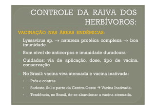 VACINAÇÃO
VACINAÇÃO NAS
NAS ÁREAS
ÁREAS ENDÊMICAS
ENDÊMICAS:
:

 Lyssavirus
Lyssavirus sp
sp.
. 
 natureza
natureza protéica
protéica complexa
complexa 
 boa
boa
imunidade
imunidade

 Bom
Bom nível
nível de
de anticorpos
anticorpos e
e imunidade
imunidade duradoura
duradoura
Bom
Bom nível
nível de
de anticorpos
anticorpos e
e imunidade
imunidade duradoura
duradoura

 Cuidados
Cuidados:
: via
via de
de aplicação,
aplicação, dose,
dose, tipo
tipo de
de vacina,
vacina,
conservação
conservação

 No
No Brasil
Brasil:
: vacina
vacina viva
viva atenuada
atenuada e
e vacina
vacina inativada
inativada:
:
•
• Prós
Prós e
e contras
contras
•
• Sudeste,
Sudeste, Sul
Sul e
e parte
parte da
da Centro
Centro-
-Oeste
Oeste 
 Vacina
Vacina Inativada
Inativada.
.
•
• Tendência,
Tendência, no
no Brasil,
Brasil, de
de se
se abandonar
abandonar a
a vacina
vacina atenuada
atenuada.
.
 