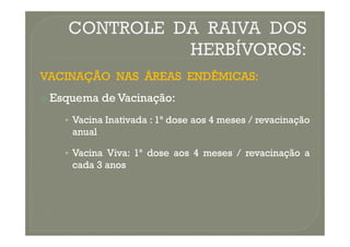 VACINAÇÃO
VACINAÇÃO NAS
NAS ÁREAS
ÁREAS ENDÊMICAS
ENDÊMICAS:
:

 Esquema
Esquema de
de Vacinação
Vacinação:
:
•
• Vacina
Vacina Inativada
Inativada :
: 1
1ª
ª dose
dose aos
aos 4
4 meses
meses /
/ revacinação
revacinação
•
• Vacina
Vacina Inativada
Inativada :
: 1
1ª
ª dose
dose aos
aos 4
4 meses
meses /
/ revacinação
revacinação
anual
anual
•
• Vacina
Vacina Viva
Viva:
: 1
1ª
ª dose
dose aos
aos 4
4 meses
meses /
/ revacinação
revacinação a
a
cada
cada 3
3 anos
anos
 
