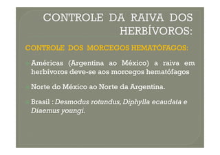 CONTROLE
CONTROLE DOS
DOS MORCEGOS
MORCEGOS HEMATÓFAGOS
HEMATÓFAGOS:
:

 Américas
Américas (Argentina
(Argentina ao
ao México)
México) a
a raiva
raiva em
em
herbívoros
herbívoros deve
deve-
-se
se aos
aos morcegos
morcegos hematófagos
hematófagos

 Norte
Norte do
do México
México ao
ao Norte
Norte da
da Argentina
Argentina.
.

 Brasil :
Brasil : Desmodus
Desmodus rotundus
rotundus,
, Diphylla
Diphylla ecaudata
ecaudata e
e
Diaemus
Diaemus youngi
youngi.
.
 