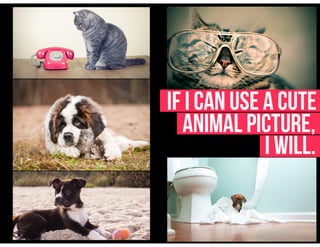 If I Can Use a cute
Animal Picture,
I will.
 