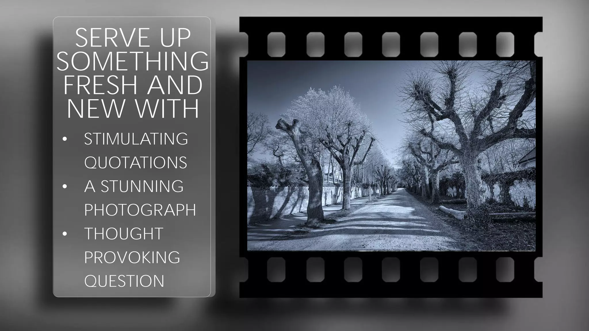 SERVE UP
SOMETHING
FRESH AND
NEW WITH
• STIMULATING
QUOTATIONS
• A STUNNING
PHOTOGRAPH
• THOUGHT
PROVOKING
QUESTION
 