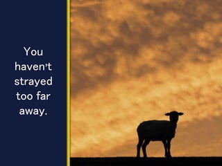 You
haven’t
strayed
too far
away.
 