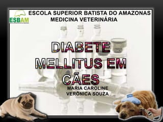 ESCOLA SUPERIOR BATISTA DO AMAZONAS
MEDICINA VETERINÁRIA
MARIA CAROLINE
VERÔNICA SOUZA
 