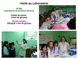 Visita ao Laboratório ELISA Laboratório de Análises Clínicas   Coleta do exame  (nível de glicose) 3ml de sangue   100mg/dl = 4ml de glicose . 