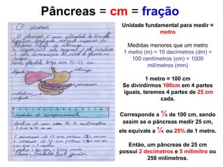 Pâncreas  =  cm  =  fração Unidade fundamental para medir =  metro Medidas menores que um metro 1 metro (m) = 10 decímetros (dm) = 100 centímetros (cm) = 1000 milímetros (mm) 1 metro = 100 cm Se divirdirmos  100cm  em 4 partes iguais, teremos 4 partes de  25 cm  cada. Corresponde a  ¼  de 100 cm, sendo assim se o pâncreas medir 25 cm, ele equivale a  ¼  ou   25%   de 1 metro. Então, um pâncreas de 25 cm possui  2 decímetros  e  5 milímitro  ou 250 milímetros. 
