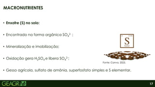 17
• Enxofre (S) no solo:
• Encontrado na forma orgânica SO4
2- ;
• Mineralização e imobilização;
• Oxidação gera H2SO4 e libera SO4
2-;
• Gesso agrícola, sulfato de amônia, superfosfato simples e S elementar.
MACRONUTRIENTES
Fonte: Canva, 2023.
 