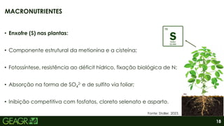 18
• Enxofre (S) nas plantas:
• Componente estrutural da metionina e a cisteína;
• Fotossíntese, resistência ao déficit hídrico, fixação biológica de N;
• Absorção na forma de SO4
2- e de sulfito via foliar;
• Inibição competitiva com fosfatos, cloreto selenato e asparto.
MACRONUTRIENTES
Fonte: Stoller, 2023.
 