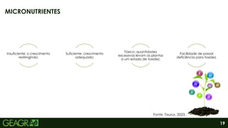 19
Insuficiente: o crescimento
restringindo;
Suficiente: crescimento
adequado;
Tóxico: quantidades
excessivas levam as plantas
a um estado de toxidez;
Facilidade de passar
deficiência para toxidez.
MICRONUTRIENTES
Fonte: Taurus, 2023.
 