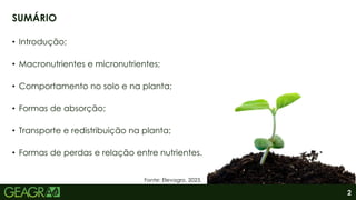 2
• Introdução;
• Macronutrientes e micronutrientes;
• Comportamento no solo e na planta;
• Formas de absorção;
• Transporte e redistribuição na planta;
• Formas de perdas e relação entre nutrientes.
SUMÁRIO
Fonte: Elevagro, 2023.
 