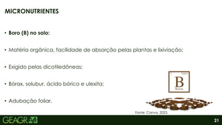 21
• Boro (B) no solo:
• Matéria orgânica, facilidade de absorção pelas plantas e lixiviação;
• Exigido pelas dicotiledôneas;
• Bórax, solubur, ácido bórico e ulexita;
• Adubação foliar.
MICRONUTRIENTES
Fonte: Canva, 2023.
 