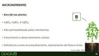 22
• Boro (B) nas plantas:
• H3BO3, H2BO3
- e H4BO4
-;
• Alta permeabilidade pelas membranas;
• Crescimento e desenvolvimento celular;
• Deficiência ocorre encarquilhamento, abortamento de flores e frutos.
MICRONUTRIENTES
Fonte: Stoller, 2023.
 