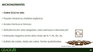 23
• Cobre (Cu) no solo:
• Fração mineral ou matéria orgânica;
• Ácidos húmicos e fúlvicos;
• Deficiência em solos alagados, solos arenosos e elevado pH;
• Interação negativa entre altos níveis de N, F, Fe, Zin, AL;
• Sulfato de cobre, óxido de cobre, fontes quelatizadas.
MICRONUTRIENTES
Fonte: Canva, 2023.
 