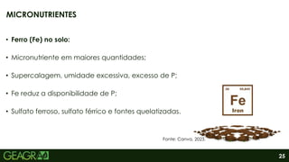25
• Ferro (Fe) no solo:
• Micronutriente em maiores quantidades;
• Supercalagem, umidade excessiva, excesso de P;
• Fe reduz a disponibilidade de P;
• Sulfato ferroso, sulfato férrico e fontes quelatizadas.
MICRONUTRIENTES
Fonte: Canva, 2023.
 