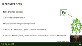 26
• Ferro (Fe) nas plantas:
• Absorvido na forma Fe2+;
• Mn por causar inibição competitiva;
• Transporte pelo citrato, pouco móvel no floema;
• Atua na oxirredução ligado a enzimas, síntese da clorofila e metabolismo.
MICRONUTRIENTES
Fonte: Stoller, 2023.
 