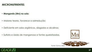 27
• Manganês (Mn) no solo:
• Maiores teores, favorece a oxirredução;
• Deficiente em solos orgânicos, alagados e alcalinos;
• Sulfato e óxido de manganoso e fontes quelatizadas.
MICRONUTRIENTES
Fonte: Canva, 2023.
 