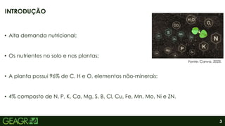 3
• Alta demanda nutricional;
• Os nutrientes no solo e nas plantas;
• A planta possui 96% de C, H e O, elementos não-minerais;
• 4% composto de N, P, K, Ca, Mg, S, B, Cl, Cu, Fe, Mn, Mo, Ni e ZN.
INTRODUÇÃO
Fonte: Canva, 2023.
 