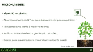 32
• Níquel (Ni) nas plantas:
• Absorvido na forma de Ni2+ ou quelatizada com compostos orgânicos;
• Transportados via xilema e móvel via floema;
• Auxilia na síntese de etileno e germinação das raízes;
• Excesso pode causar toxidez e menor desenvolvimento da raiz.
MICRONUTRIENTES
Fonte: Stoller, 2023.
 