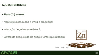 33
• Zinco (Zn) no solo:
• Não sofre oxirredução e limita a produção;
• Interação negativa entre Zn e P;
• Sulfato de zinco, óxido de zinco e fontes quelatizadas.
MICRONUTRIENTES
Fonte: Canva, 2023.
 