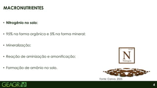 4
• Nitrogênio no solo:
• 95% na forma orgânica e 5% na forma mineral;
• Mineralização;
• Reação de aminização e amonificação;
• Formação de amônio no solo.
MACRONUTRIENTES
Fonte: Canva, 2023.
 