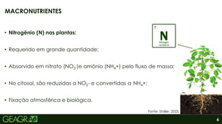6
• Nitrogênio (N) nas plantas:
• Requerido em grande quantidade;
• Absorvido em nitrato (NO3
-)e amônio (NH4+) pelo fluxo de massa;
• No citosol, são reduzidas a NO2- e convertidas a NH4+;
• Fixação atmosférica e biológica.
MACRONUTRIENTES
Fonte: Stoller, 2023.
 