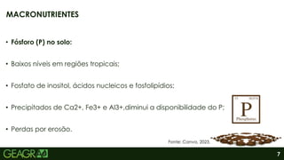 7
• Fósforo (P) no solo:
• Baixos níveis em regiões tropicais;
• Fosfato de inositol, ácidos nucleicos e fosfolipídios;
• Precipitados de Ca2+, Fe3+ e Al3+,diminui a disponibilidade do P;
• Perdas por erosão.
MACRONUTRIENTES
Fonte: Canva, 2023.
 